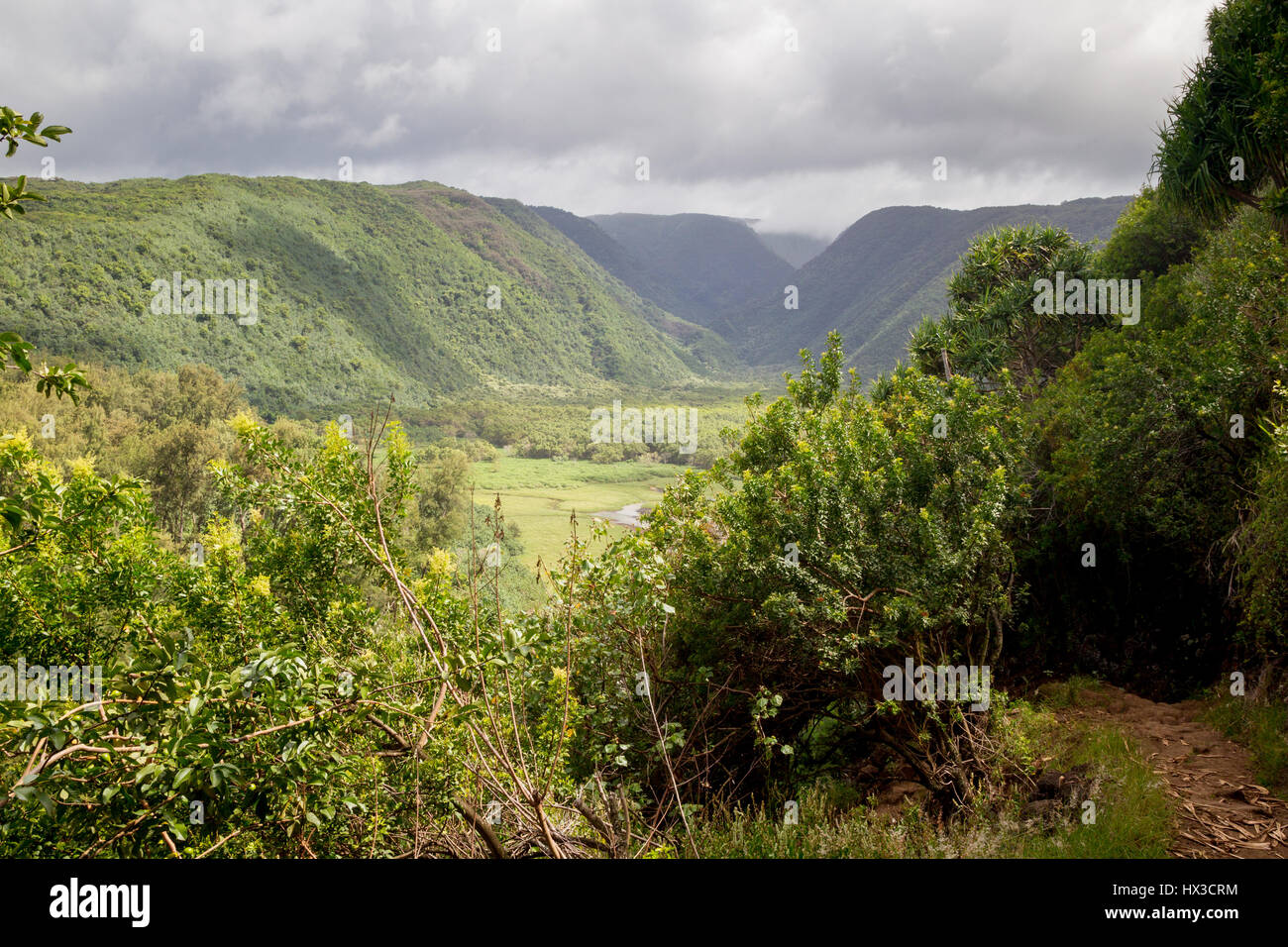 Vista nella Valle di Pololu al nord della costa della Grande Isola, Hawaii, Stati Uniti d'America. Foto Stock