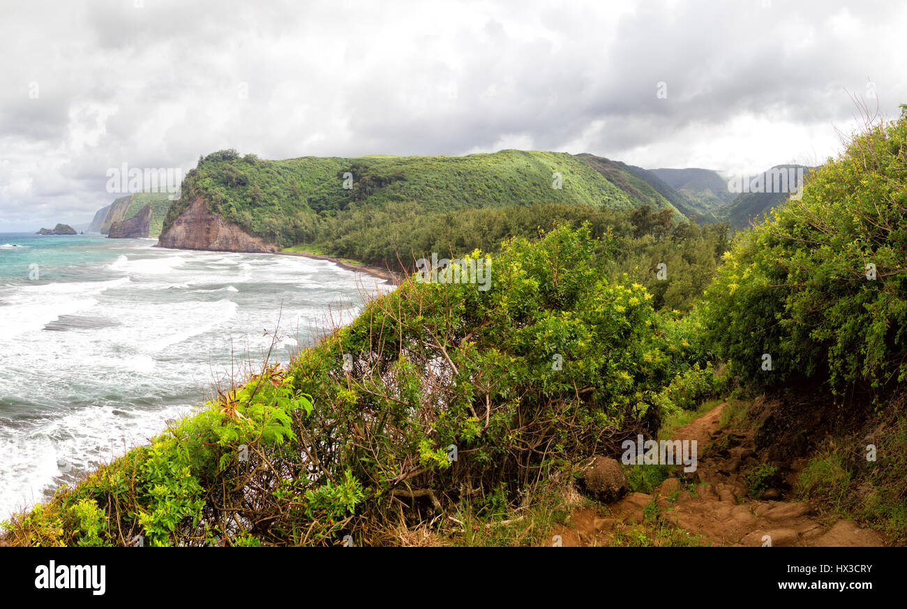 Vista sulla costa nord della Grande Isola, Hawaii, USA, al Pololu Valley. Foto Stock