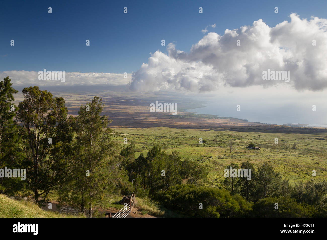 Vista sul verde dei prati verso la costa occidentale della grande isola, Hawaii, Stati Uniti d'America. Foto Stock