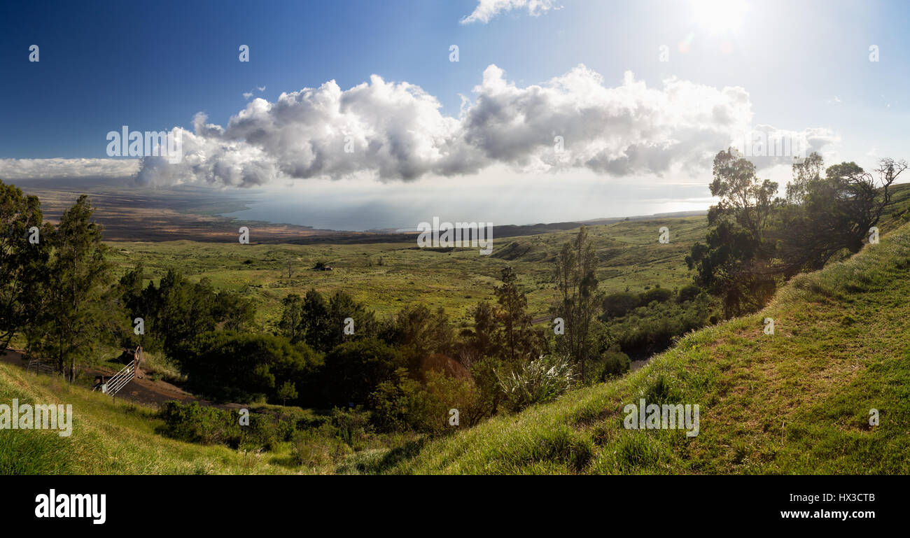 Vista sul verde dei prati verso la costa occidentale della grande isola, Hawaii, Stati Uniti d'America. Foto Stock