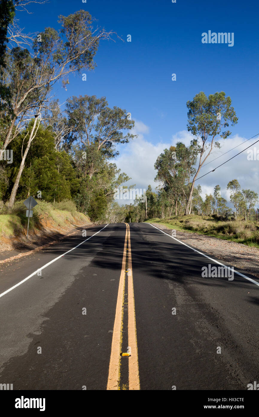 Strada di campagna sulla Big Island, Hawaii, Stati Uniti d'America. Foto Stock