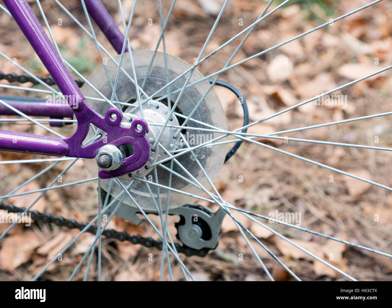Bicicletta mozzo posteriore, viola il telaio e la ruota Foto Stock