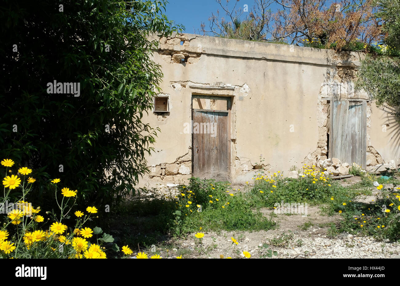 Beni abbandonati in Kato Pervolian, Kato Paphos, Paphos Cipro Foto Stock