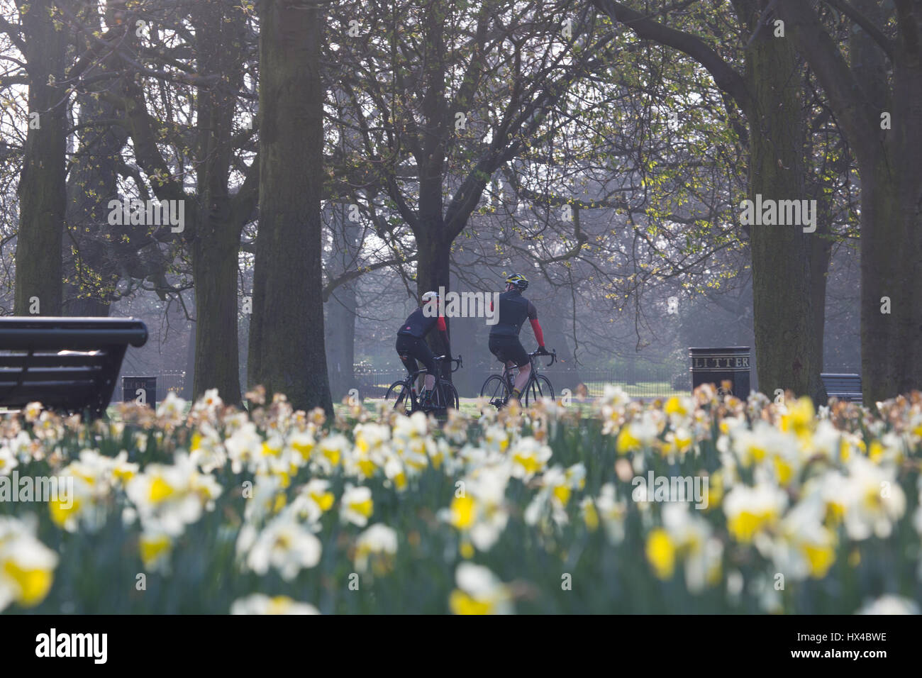 Greenwich, Londra, Regno Unito. 25 marzo, 2017. Molla di sole meteo in Greenwich Park all'ultimo giorno di Greenwich Mean Time orologi prima di andare avanti a British Summer Time questa sera. Rob Powell/Alamy Live News Foto Stock