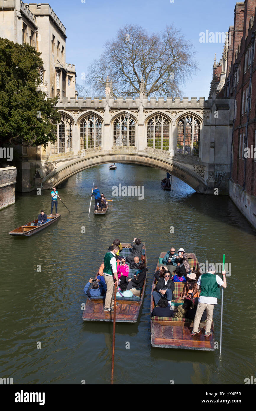 Cambridge Punting; Punts on the River Cam e il ponte dei Sospiri, St Johns College, Cambridge University Cambridge UK in primavera Foto Stock