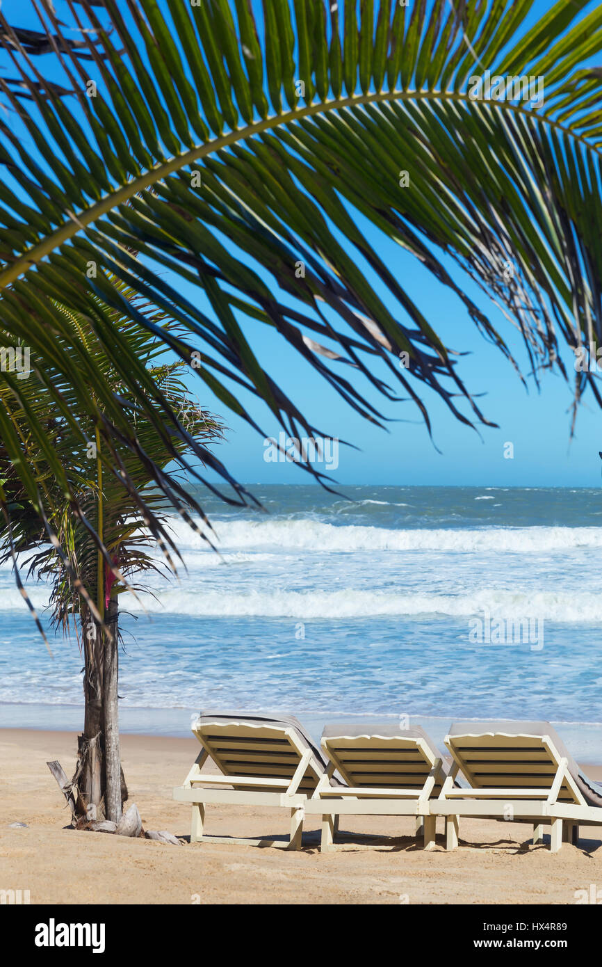 Estate spiaggia lettini sdraio vicino perfetto mare tropicale Foto Stock