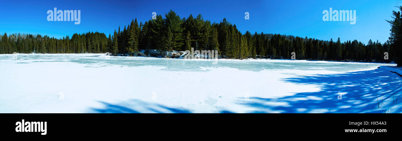 Algonquin Provincial Park, Ontario, Canada in inverno. Vista panoramica. Foto Stock