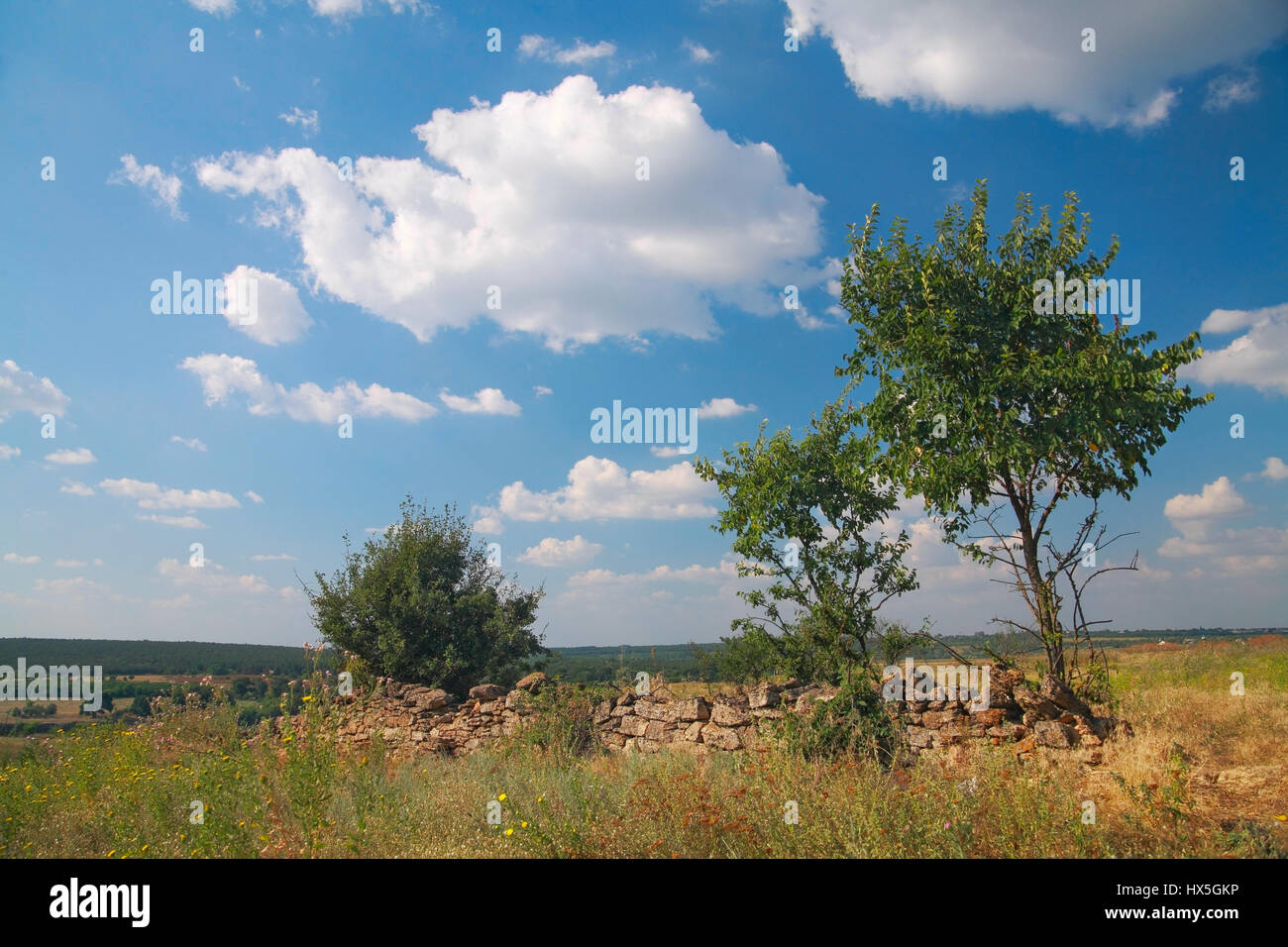 Paesaggio rurale, una rovina recinzione fatta di pietra naturale, Bush, pascolo, in background contro il cielo blu con nuvole Foto Stock