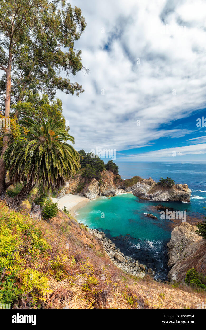 Spiaggia della California e cade, Julia Pfeiffer Beach, McWay cade. Foto Stock