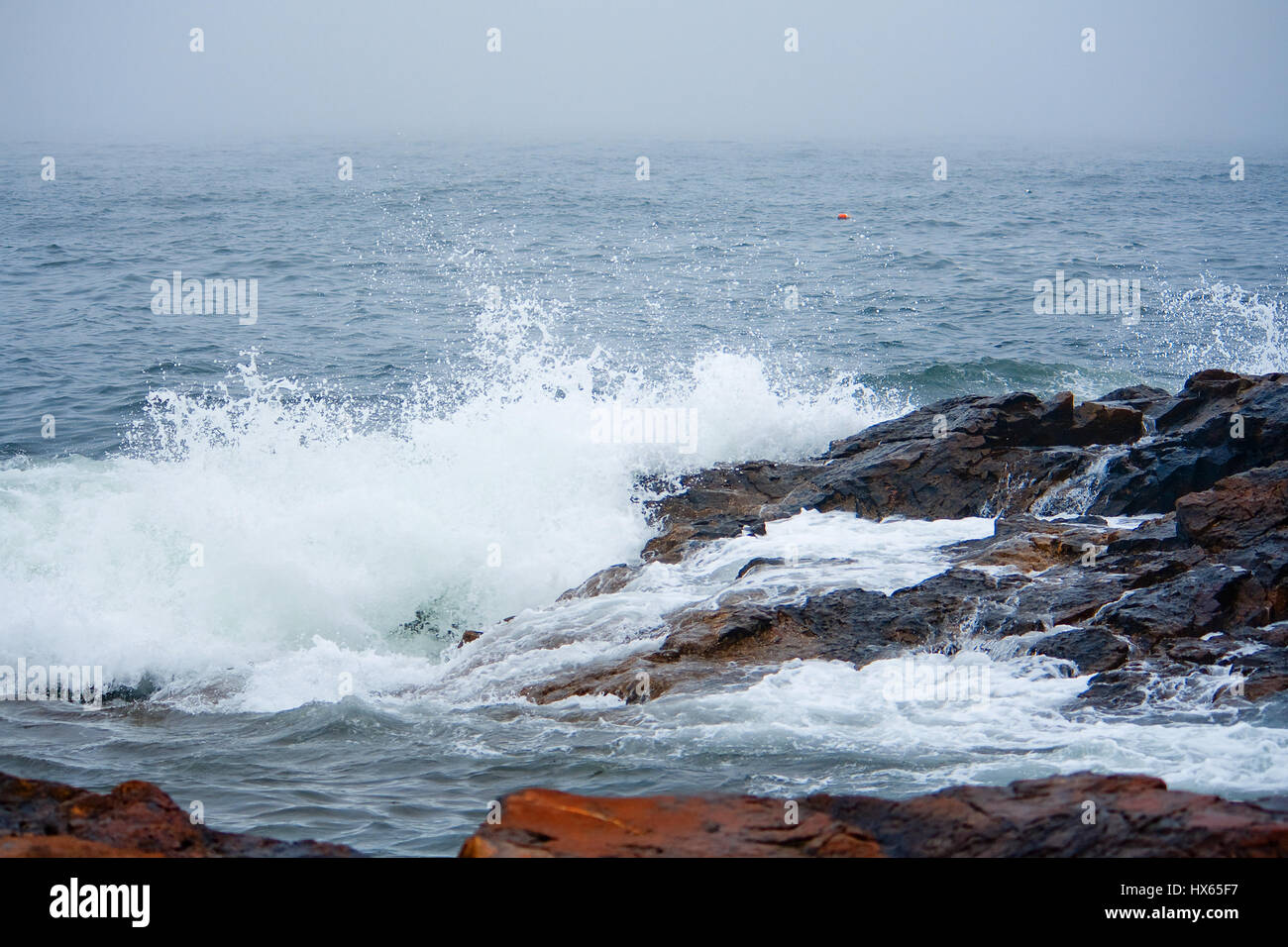 Ocean onde infrangersi contro la costa rocciosa del Maine la costa vicino a Bar Harbor. Foto Stock