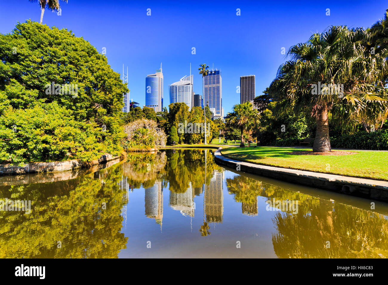 La città di Sydney Royal Botanic Garden pond riflettendo CBD grattacieli circondato da verdi alberi esotici Foto Stock