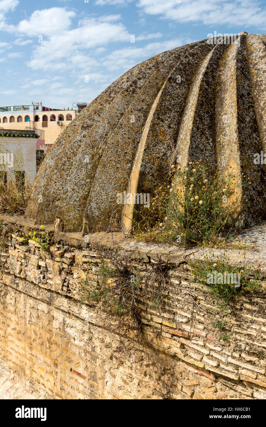 Meknes, Marocco. Medersa Bou Inania, 14th. Secolo. Dome sul tetto. Foto Stock