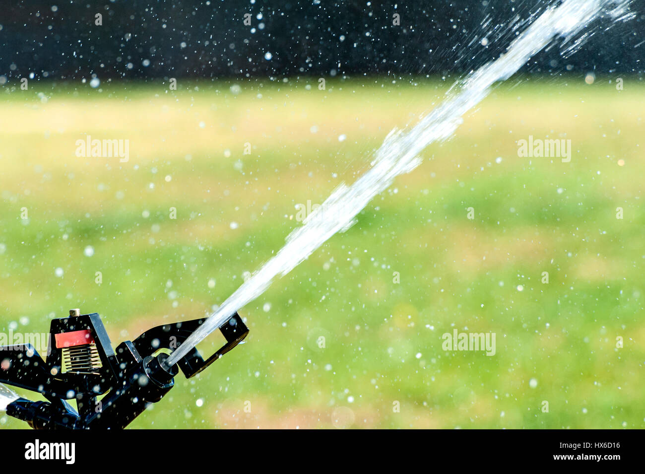 Sprinkler erba sta lavorando sulla prateria Foto Stock
