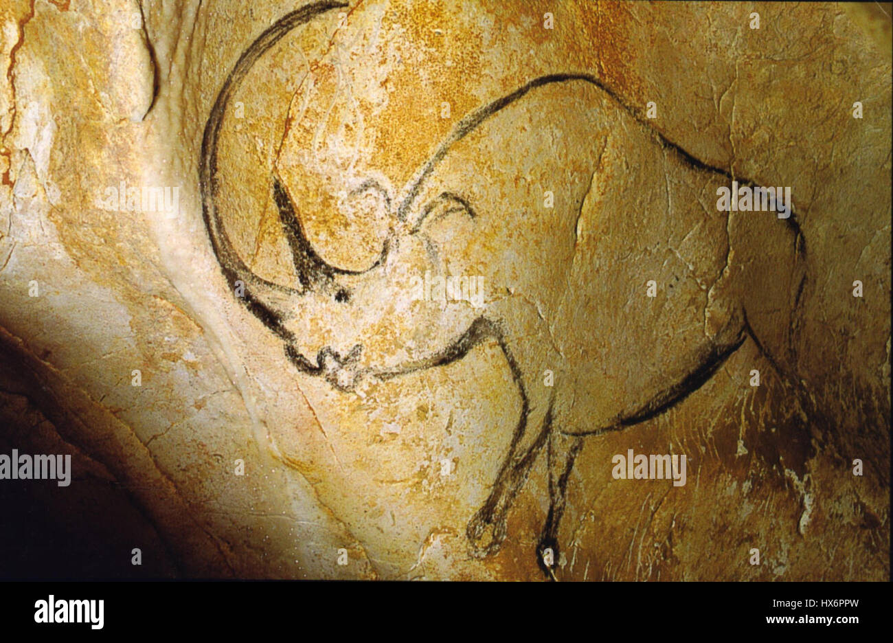 RhinocC3A9ros grotte Chauvet Foto Stock