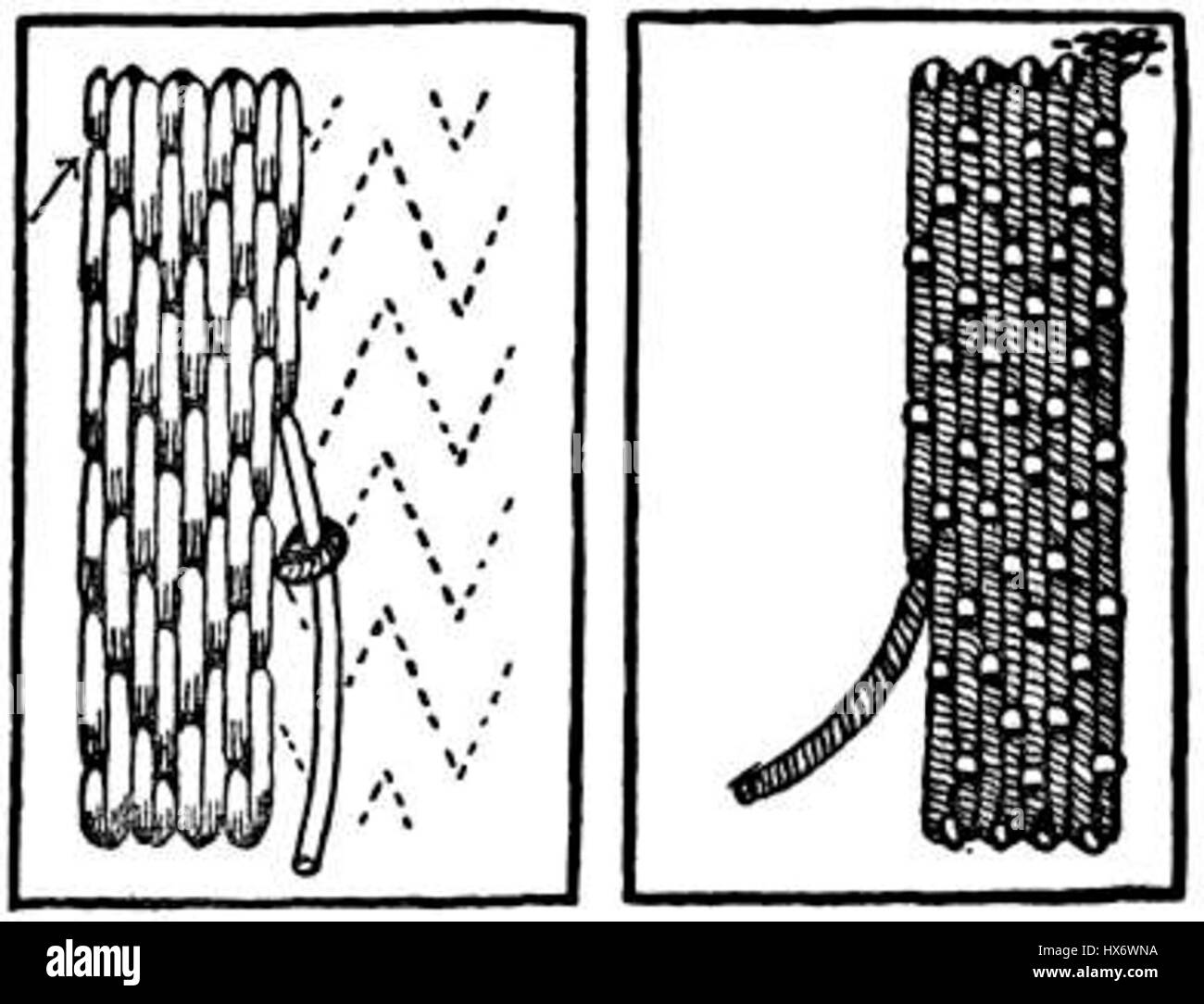 Lato inferiore adagiandosi Foto Stock