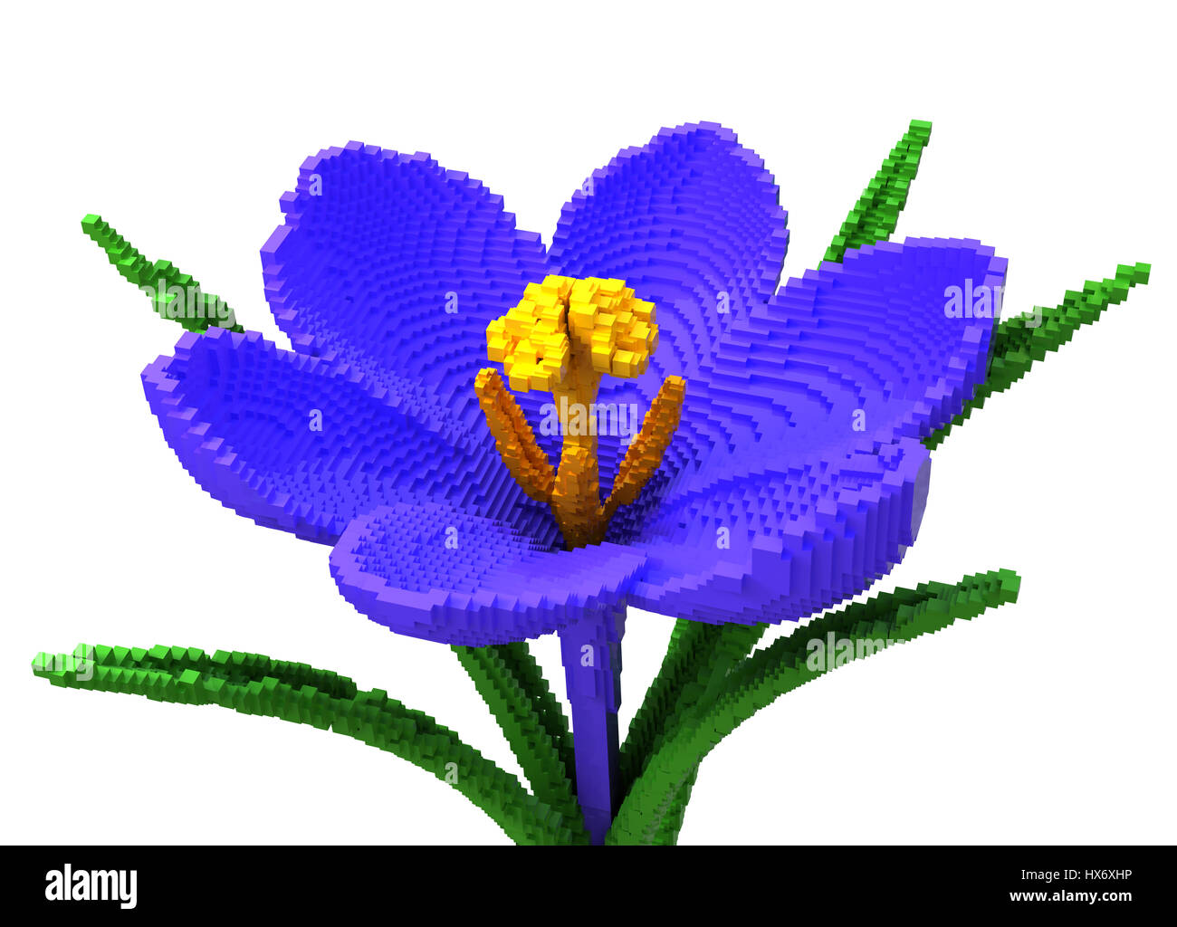 3D Pixel fiore Crocus su sfondo bianco. 3D'illustrazione. Foto Stock