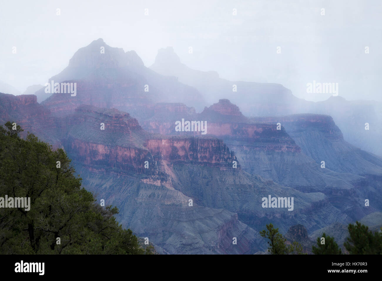 Tempesta di pioggia. Il Bright Angel Point, North Rim. Parco Nazionale del Grand Canyon. Foto Stock