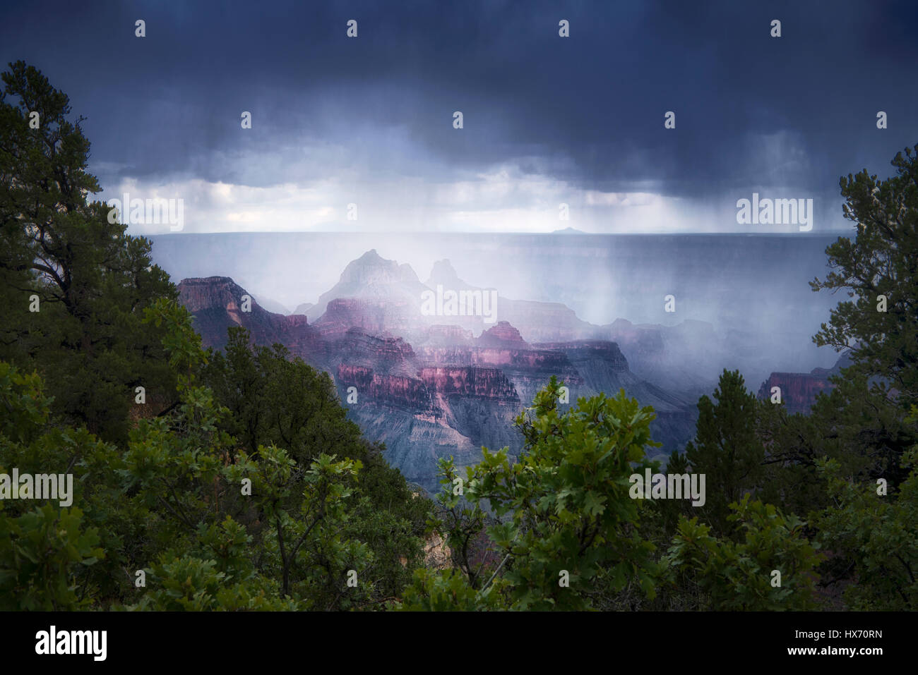 Tempesta di pioggia. Il Bright Angel Point, North Rim. Parco Nazionale del Grand Canyon. Foto Stock