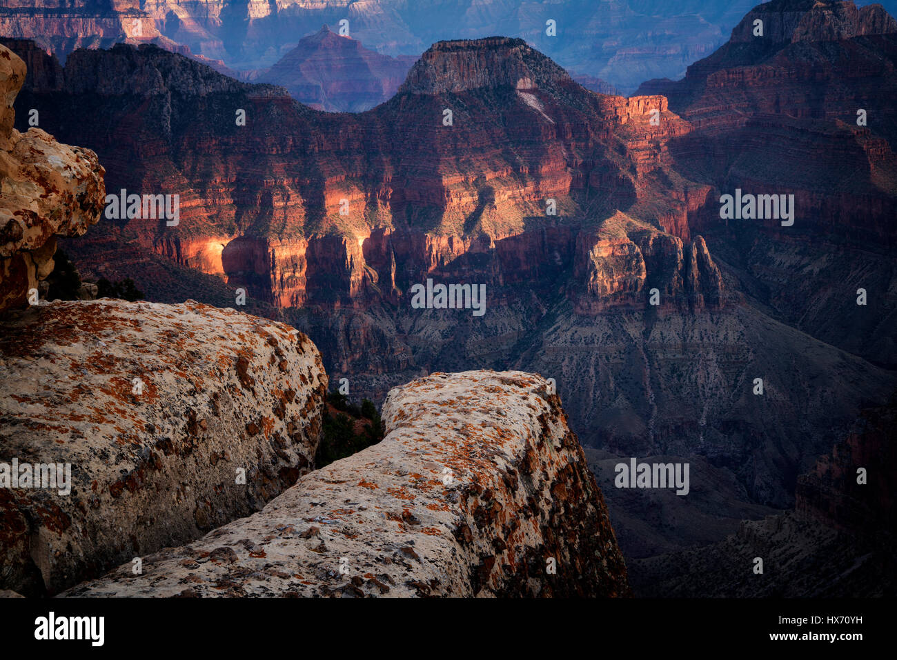 Vista del Grand Canyon dal Bright Angel Point. Bordo settentrionale del Parco Nazionale del Grand Canyon, Arizona Foto Stock