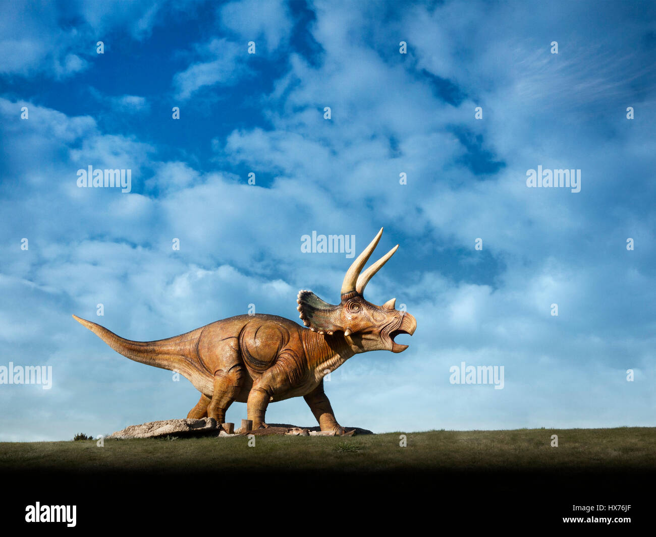 Dinosauro Triceatops scultura Foto Stock