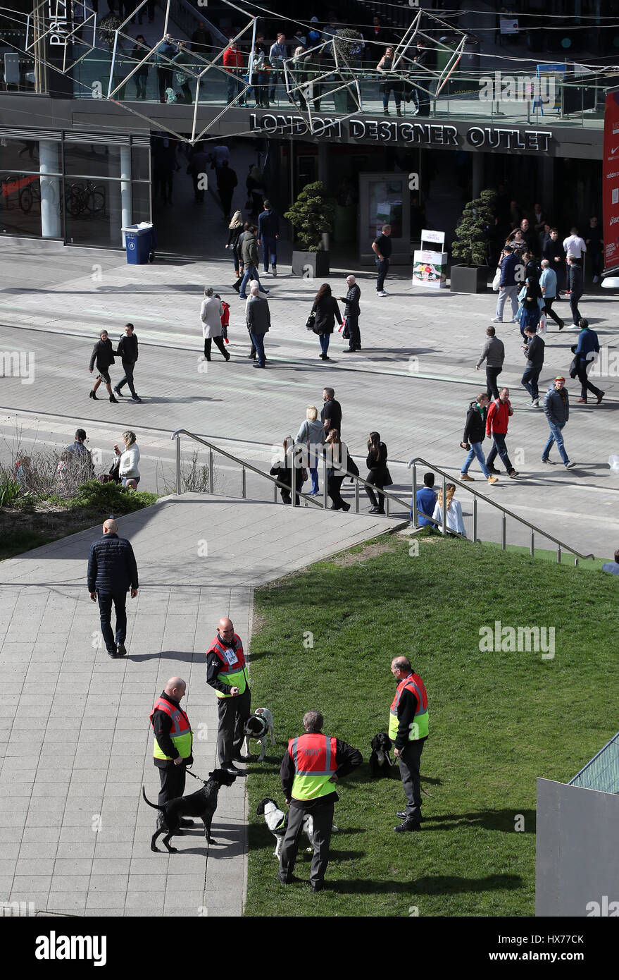 Ricerca pattuglie di cane vicino allo Stadio di Wembley a Londra prima che l'Inghilterra v Lituania corrispondono. Foto Stock