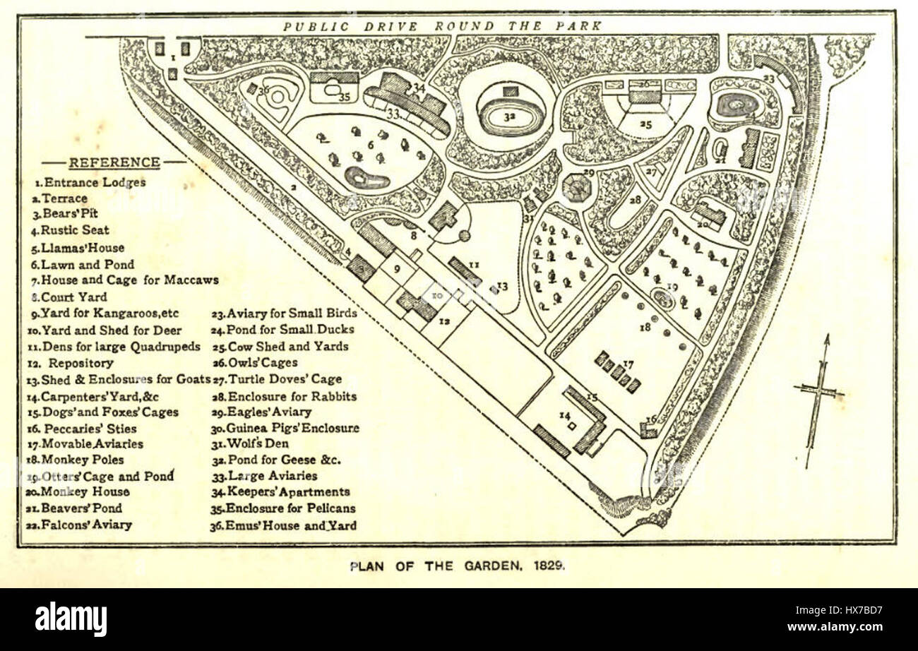 ZoolGarden1829 si riferisce ad un primo giardino zoologico fondato nel 1829. Questi primi giardini zoologici erano precursori dei moderni giardini zoologici, che fungevano da istituzioni educative e mostravano animali esotici provenienti da tutto il mondo. Foto Stock