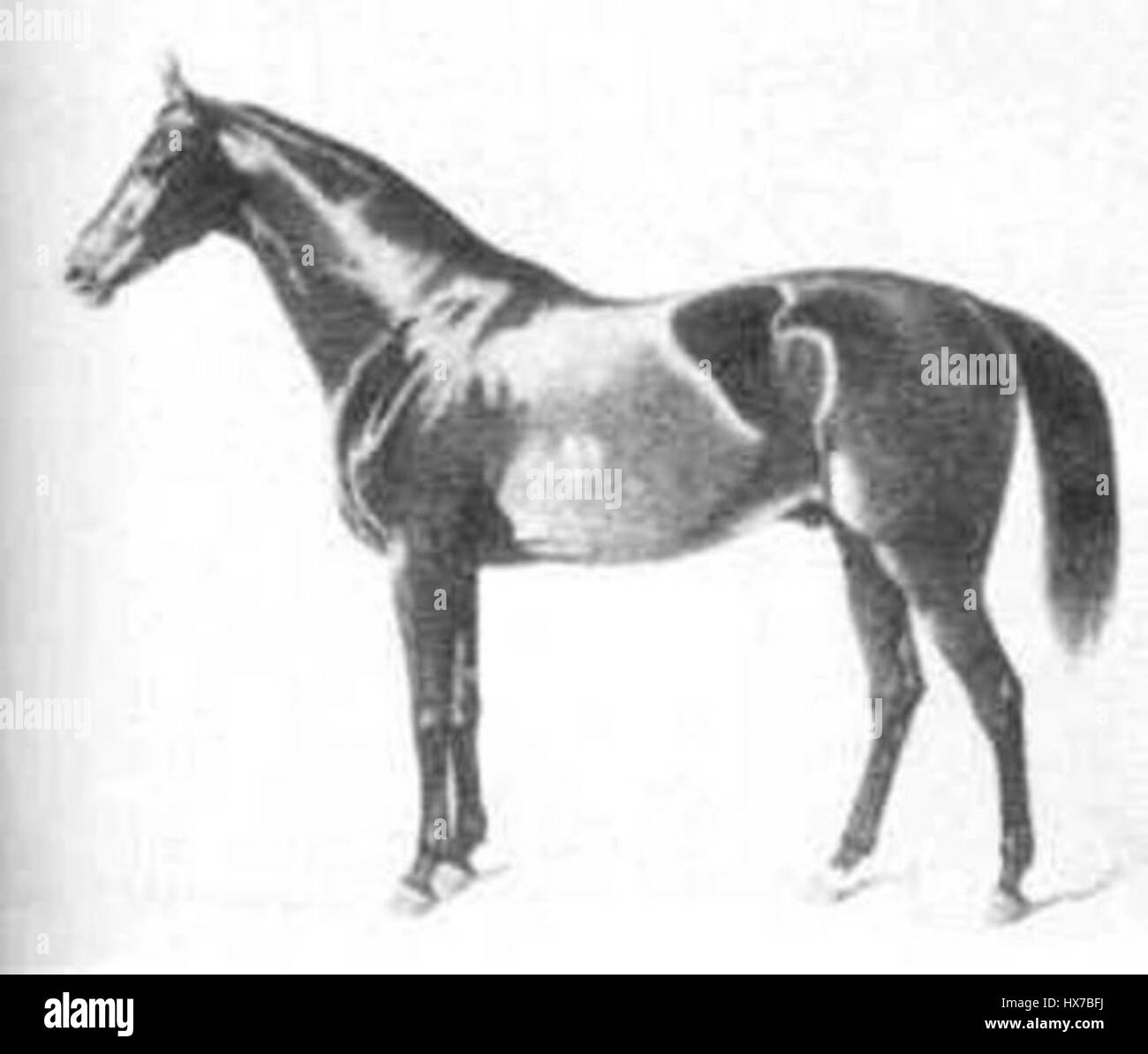 Zernebog è una divinità della mitologia slava, spesso raffigurata come un dio delle tenebre e del male. In vari testi mitologici, Zernebog è considerato una forza di distruzione, in contrasto con gli dei della luce e della creazione. Foto Stock