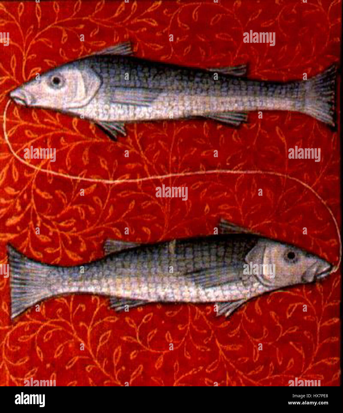 Questo titolo si riferisce probabilmente a un'opera d'arte o rappresentazione del segno zodiacale pesci, simboleggiato da due pesci. La rappresentazione potrebbe catturare la fluidità e la dualità del segno zodiacale. Foto Stock