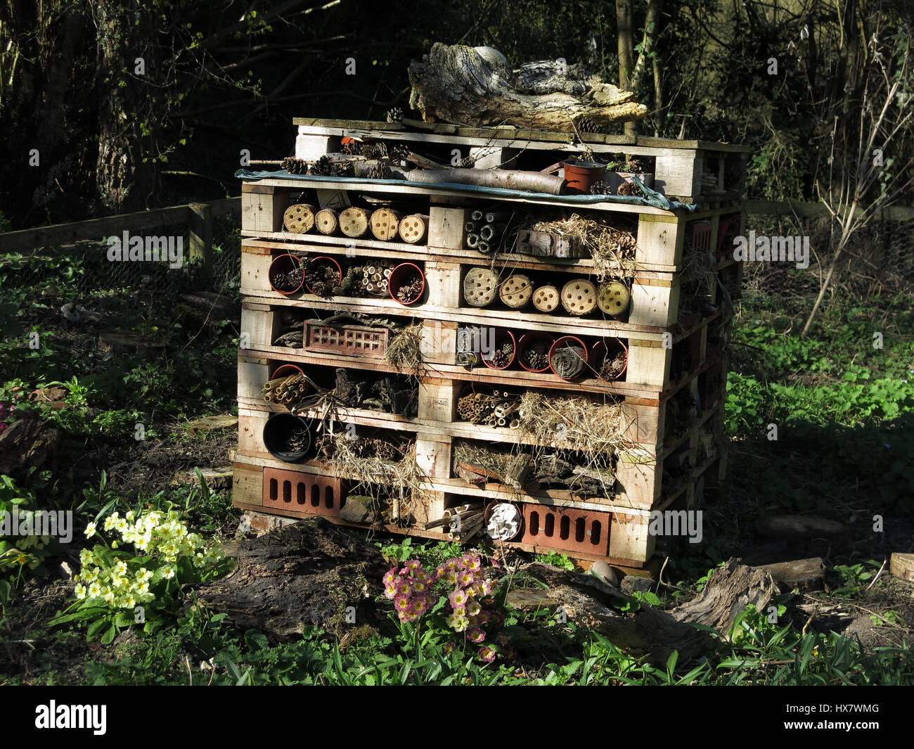 Una grande casa di bug in Clare Castle Country Park, Suffolk, Regno Unito. Foto Stock