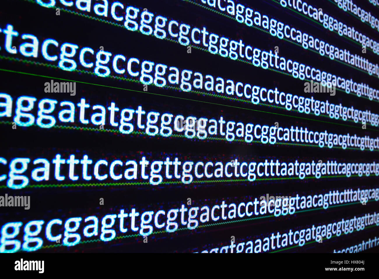 Il sequenziamento del genoma. La sequenza di nucleotidi di DNA dopo la decrittografia. Foto Stock