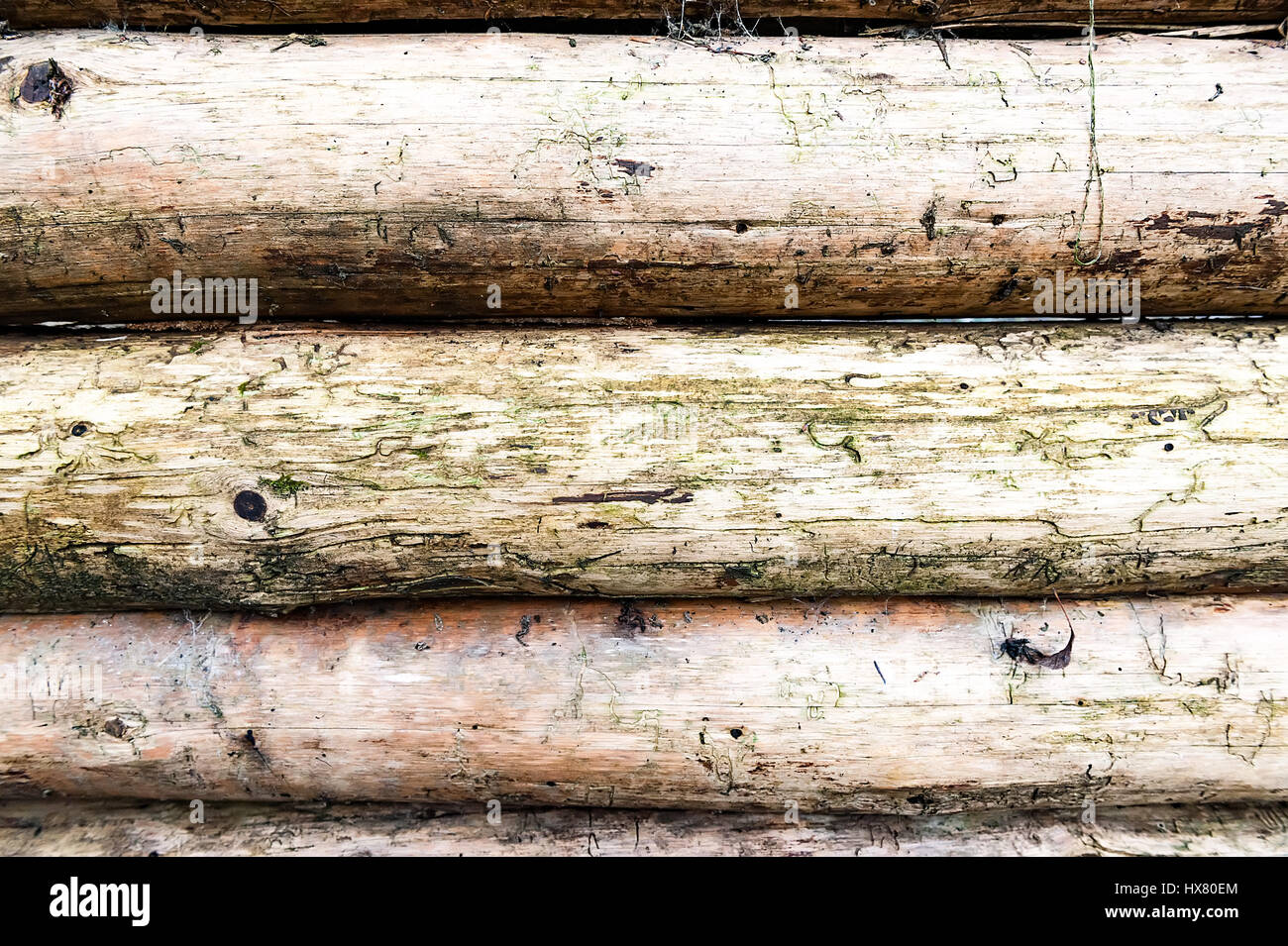 Pallina di natale sulla struttura ad albero in background con altre decorazioni e ghirlande. copia di spazio. Foto Stock