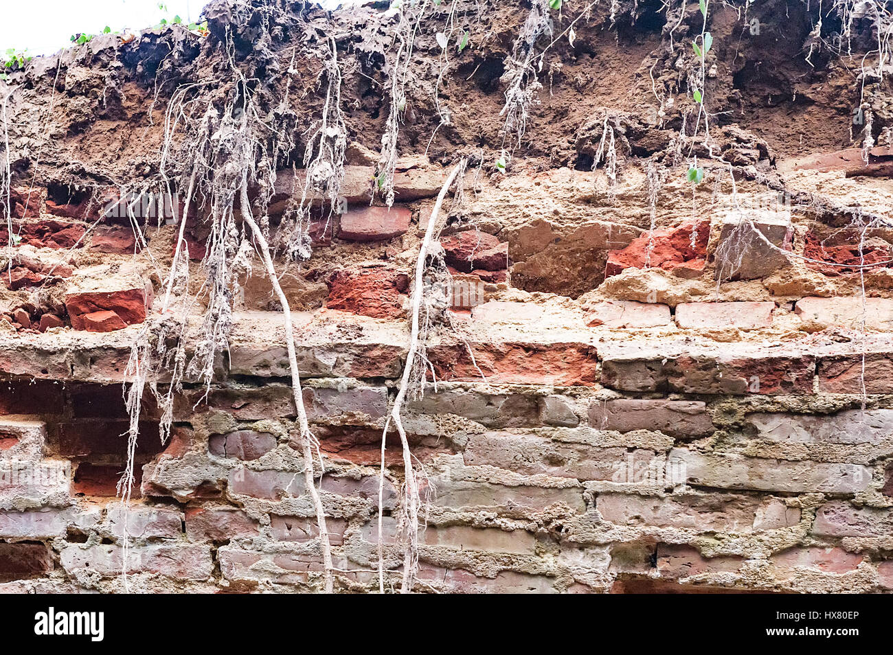 Muro di pietra con il modello reale di colore grigio di stile moderno design decorativo incrinata irregolare di cemento di superficie Foto Stock