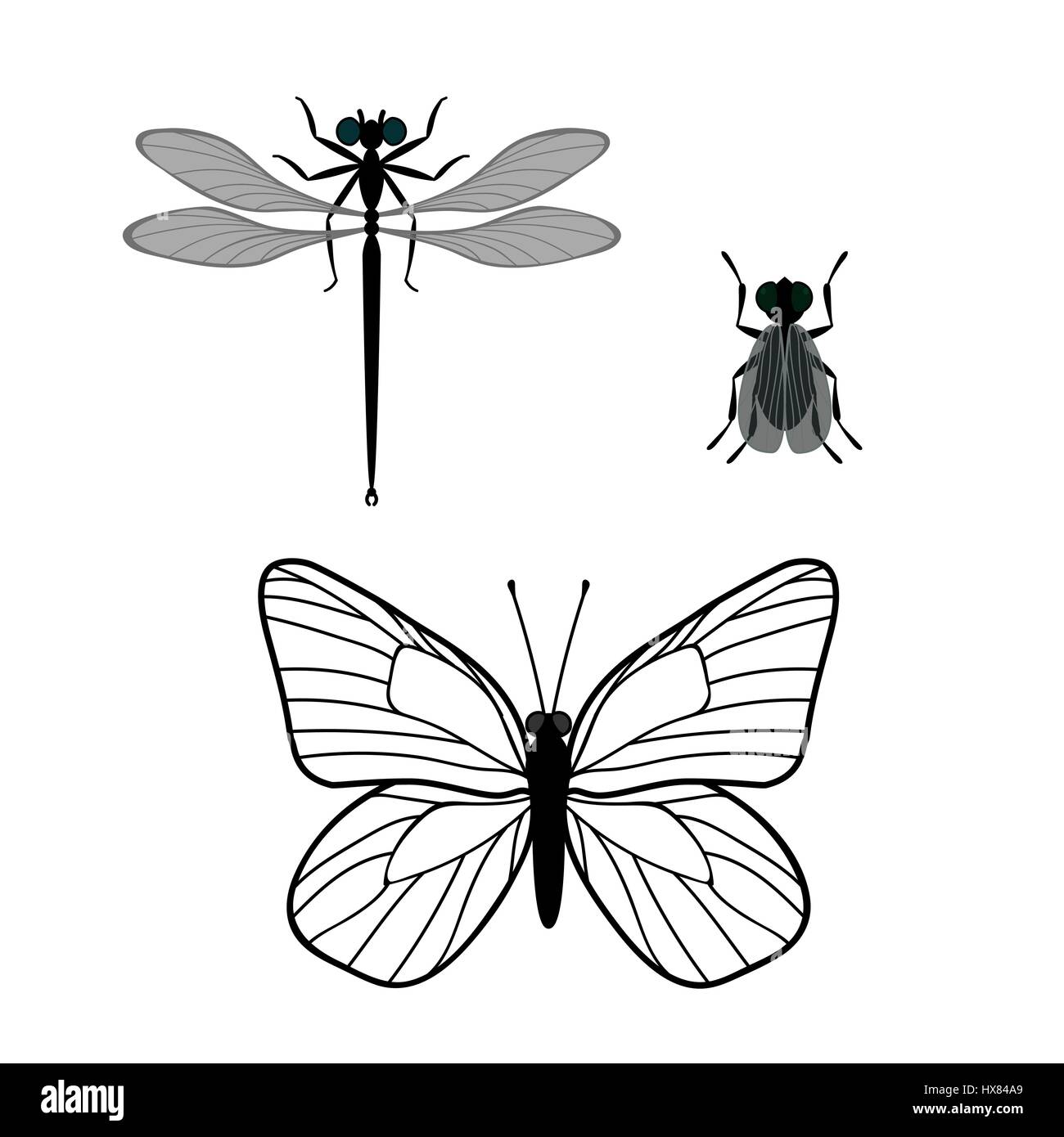 Set di insetti (butterfly, dragonfly, volare) eseguite in uno stile semplice. Isolato su sfondo bianco. Illustrazione Vettoriale Illustrazione Vettoriale
