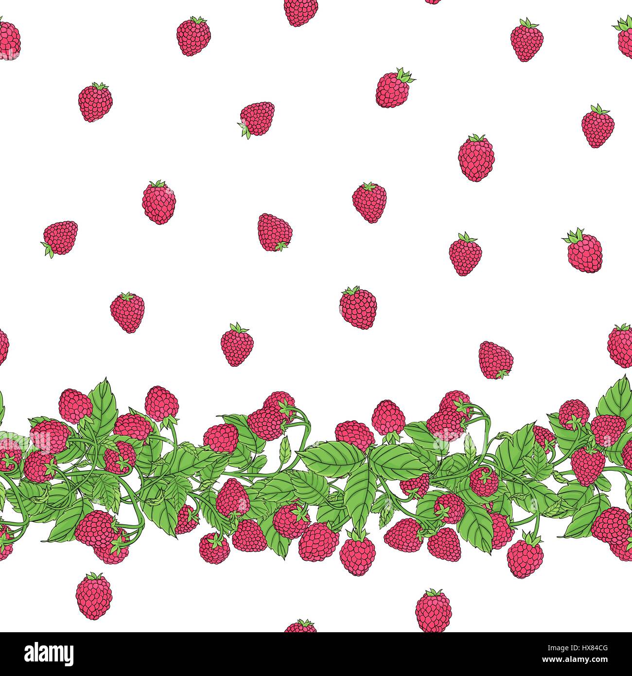 Vettore di Seamless pattern con confine naturale dei rami con lampone maturo di bacche e frutti di bosco disposti in uno stile libero su uno sfondo bianco. Illustrazione Vettoriale