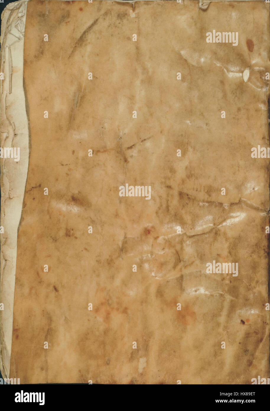 Questa copertina tratta da 'MS. XI.17 3' raffigura un manoscritto o un documento storico, che sottolinea l'importanza delle opere scritte nella storia. L'immagine mette in evidenza gli elementi testuali e artistici del manoscritto, offrendo uno sguardo sul significato culturale del patrimonio scritto. Foto Stock