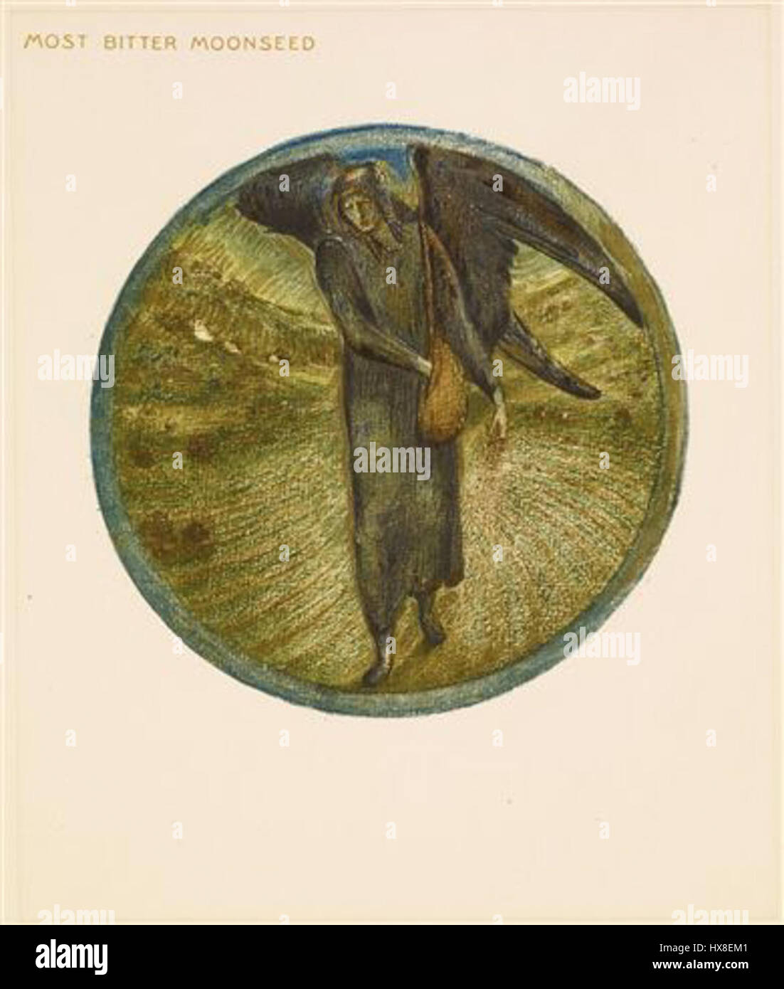 Il libro dei fiori "Most Bitter Moonseed" è un'illustrazione botanica che raffigura la pianta dei semi di luna, nota per le sue proprietà medicinali. L'opera si concentra sulle caratteristiche distintive della pianta, enfatizzando i dettagli delle sue foglie, fiori e semi. Foto Stock