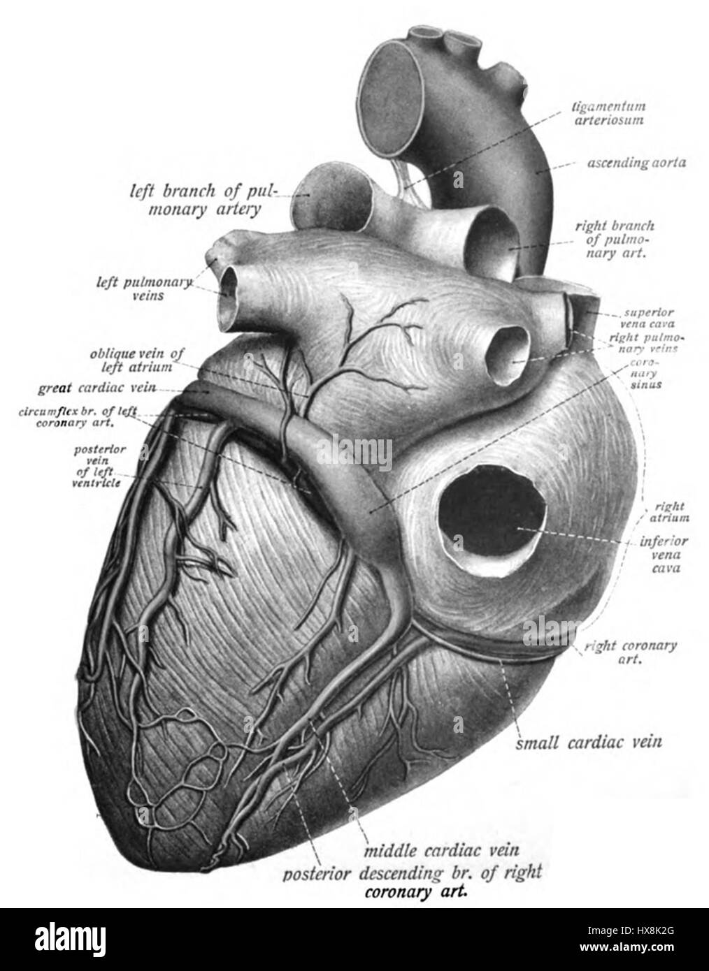 Questo si riferisce probabilmente a un'opera o a un'immagine intitolata "Sobo" del 1909, anche se sono necessari ulteriori chiarimenti per fornire una descrizione accurata. Il riferimento potrebbe riguardare l'arte dei primi anni del XX secolo, forse legata a uno specifico artista o movimento culturale. Foto Stock