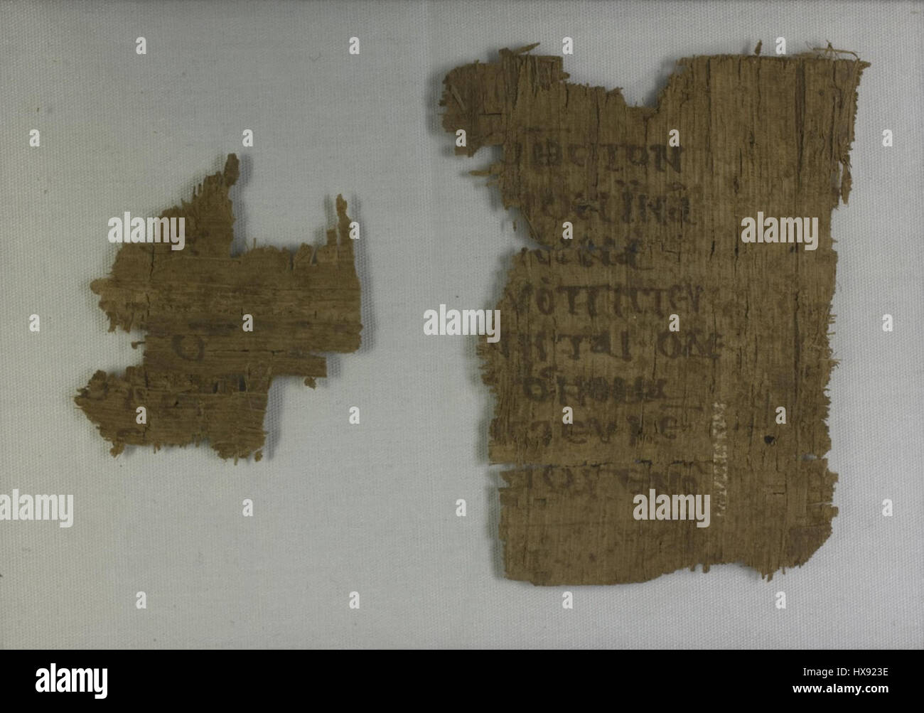 Questo antico papiro, il Papiro 36, conservato nella Biblioteca Laurenziana, contiene frammenti del Vangelo di Giovanni, in particolare i versetti 3:14-18, 31-32, e 34-35. Offre preziose informazioni sui testi paleocristiani e sulla conservazione delle scritture bibliche dell'antichità. Foto Stock