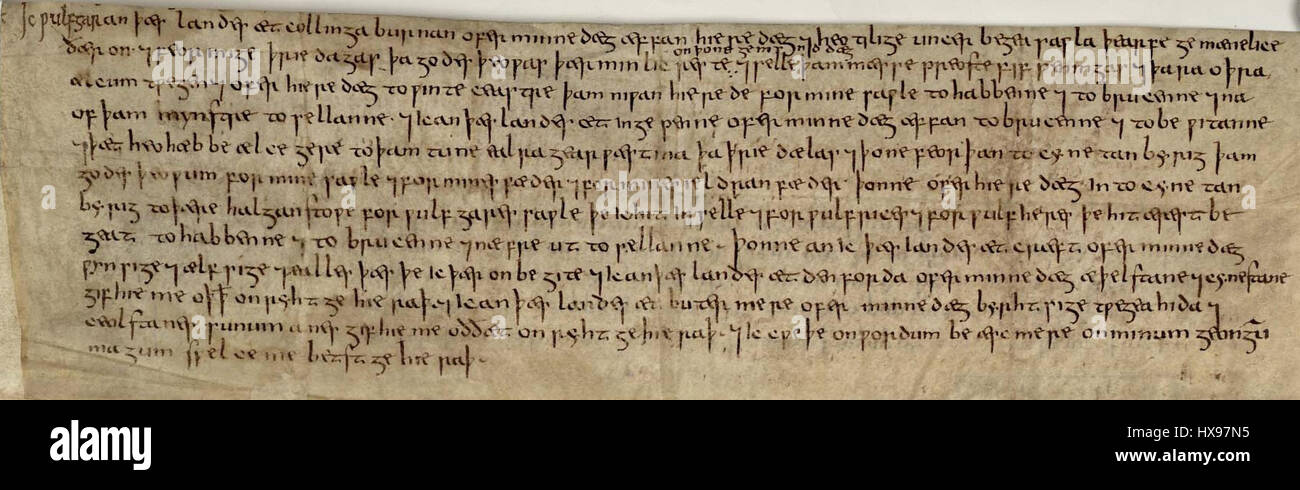 *La volontà di Wulfgar* (1533) è un significativo documento medievale trovato nella collezione della British Library. Ciò fornirà preziose informazioni sulla struttura sociale ed economica dell'Inghilterra del XVI secolo, facendo luce sull'eredità, la proprietà e l'eredità personale durante il periodo. Foto Stock