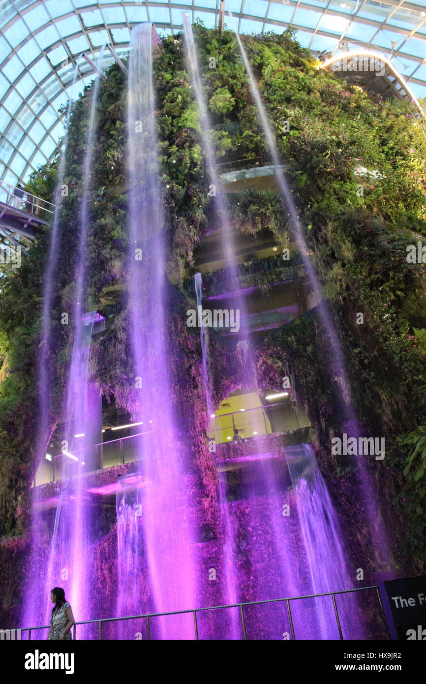 Cascata colorata in Singapores cupola di vetro - Giardini dalla baia-cloud forest Foto Stock