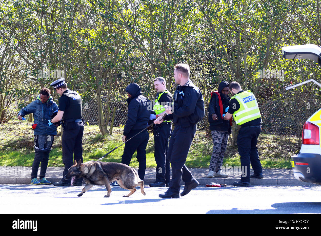 Peterborough, Regno Unito. 25 Mar, 2017. Gli immigrati illegali . Peterborough, CAMBRIDGESHIRE . Marzo 25, 2017. Cambridgeshire polizia arrestato un carrello dalla Repubblica ceca dopo che il conducente ha squillato loro di dire loro che egli pensava che ci potrebbero essere le persone all'interno. La polizia ha trovato 3 uomini che hanno iniziato il loro viaggio in Eritrea, Africa orientale. Il loro viaggio illegale finito in Peterborough, CAMBRIDGESHIRE. Credito: Paolo Marriott/Alamy Live News Foto Stock