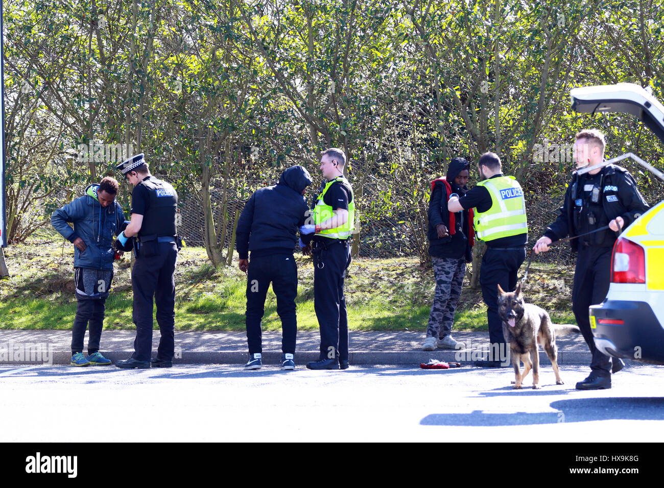 Peterborough, Regno Unito. 25 Mar, 2017. Gli immigrati illegali . Peterborough, CAMBRIDGESHIRE . Marzo 25, 2017. Cambridgeshire polizia arrestato un carrello dalla Repubblica ceca dopo che il conducente ha squillato loro di dire loro che egli pensava che ci potrebbero essere le persone all'interno. La polizia ha trovato 3 uomini che hanno iniziato il loro viaggio in Eritrea, Africa orientale. Il loro viaggio illegale finito in Peterborough, CAMBRIDGESHIRE. Credito: Paolo Marriott/Alamy Live News Foto Stock