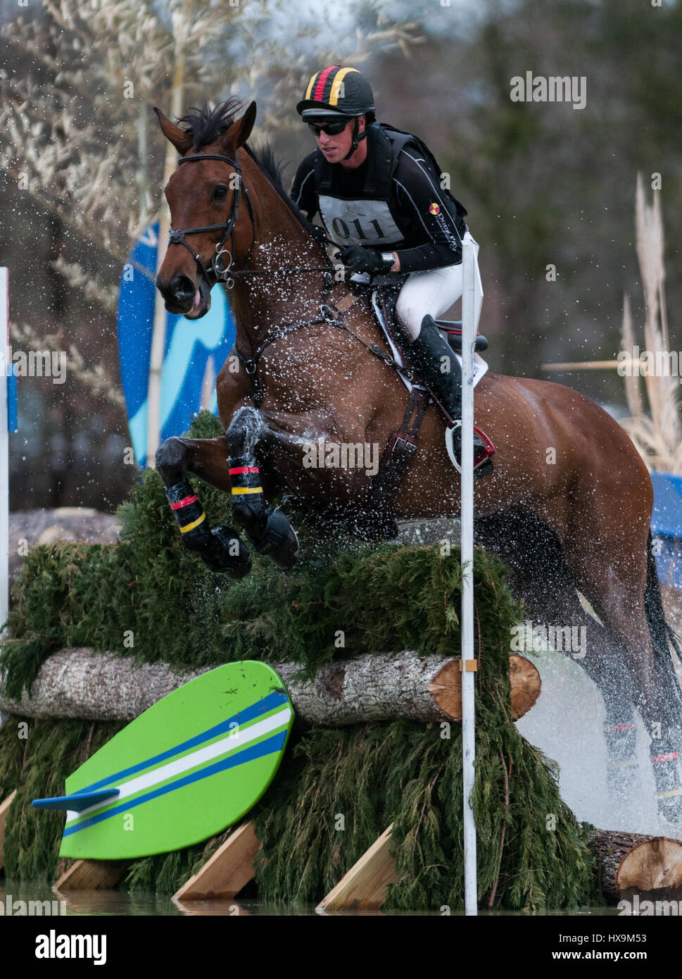 Raeford, North Carolina, USA. 25 Mar, 2017. DOUG PAYNE e VANDIVER competere sul cross-country course progettato da Ian Stark a La Carolina 2017 CIC Internazionali & Cavallo di prova, 25 Marzo a Carolina Horse Park in Raeford, N.C. Il quarto evento annuale ospitato alcune delle migliori combinazioni di eventi internazionali di CIC1*, 2* E 3* divisioni come pure concorso nazionale presso il training attraverso livelli avanzati. Foto Stock