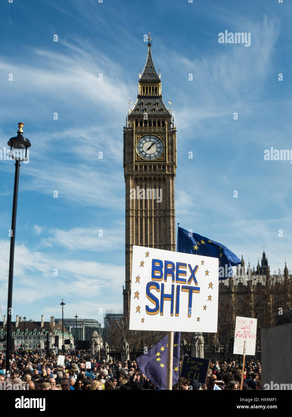 Londra, Regno Unito. 25 Mar, 2017. Marzo per l'Europa banner, Brexshit Credito: Ghene Snowdon/Alamy Live News Foto Stock