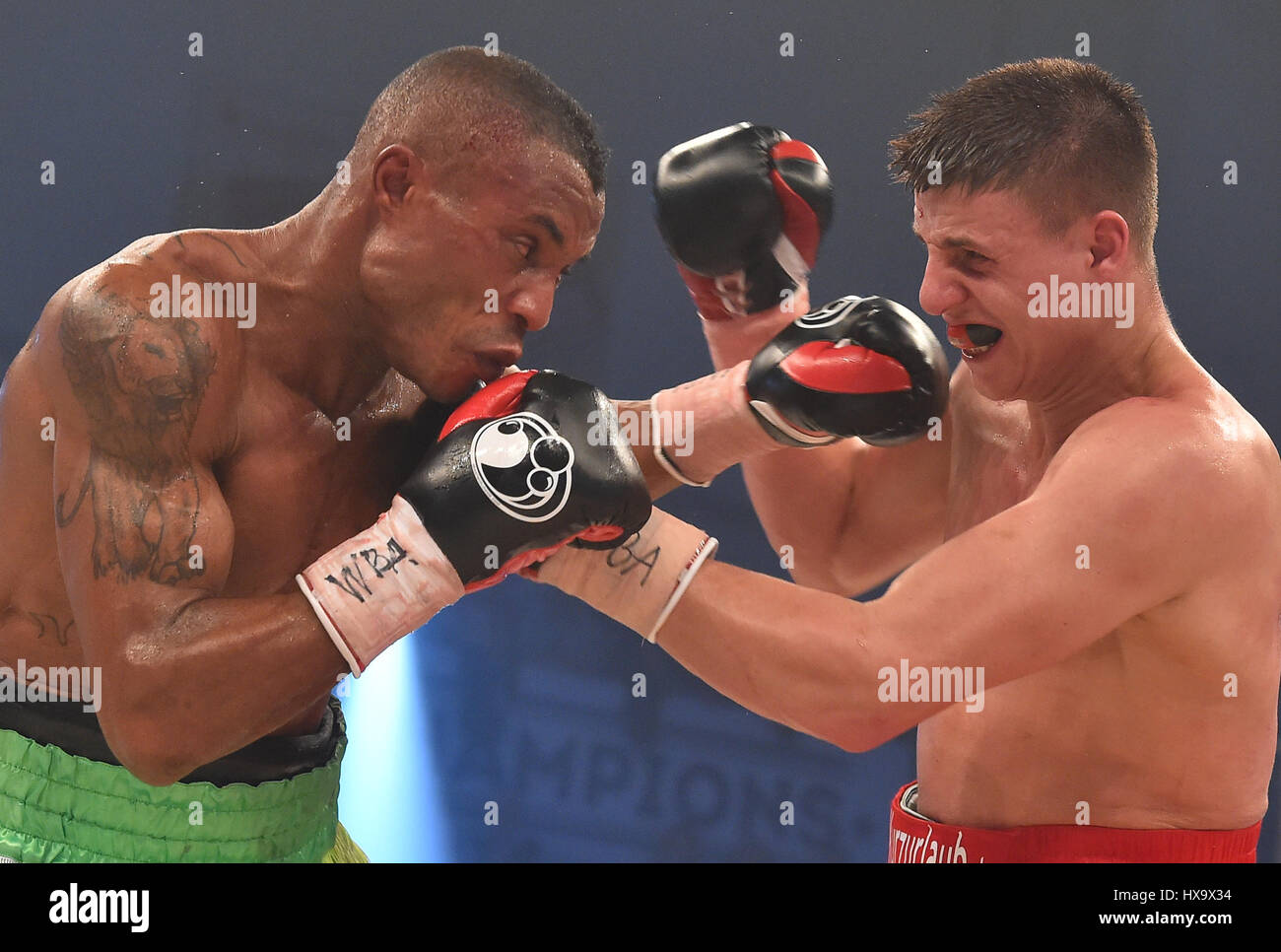 Potsdam, Germania. 25 Mar, 2017. Il pugilato: WBA campionati del mondo super middleweight Tyron Zeuge (R) combatte contro il nigeriano Ekpo Isacco a Potsdam, Germania, 25 marzo 2017. Zeuge conquistato dopo la lotta è stata interrotta a causa di un colpo di testa che ha portato ad un pregiudizio. Foto: Bernd Settnik/dpa-Zentralbild/dpa/Alamy Live News Foto Stock
