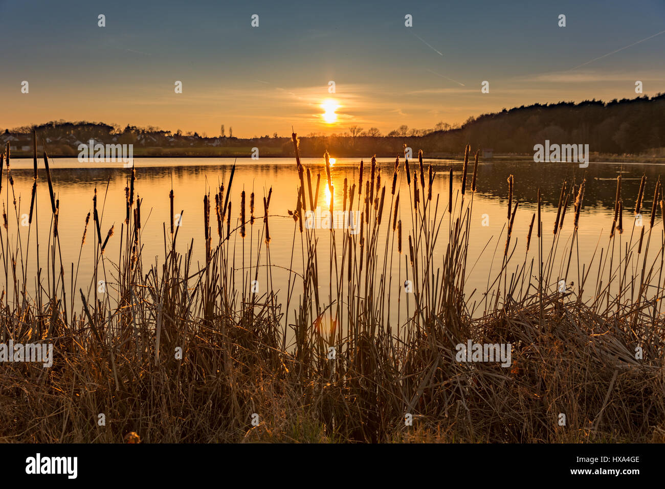 dall'acqua Foto Stock