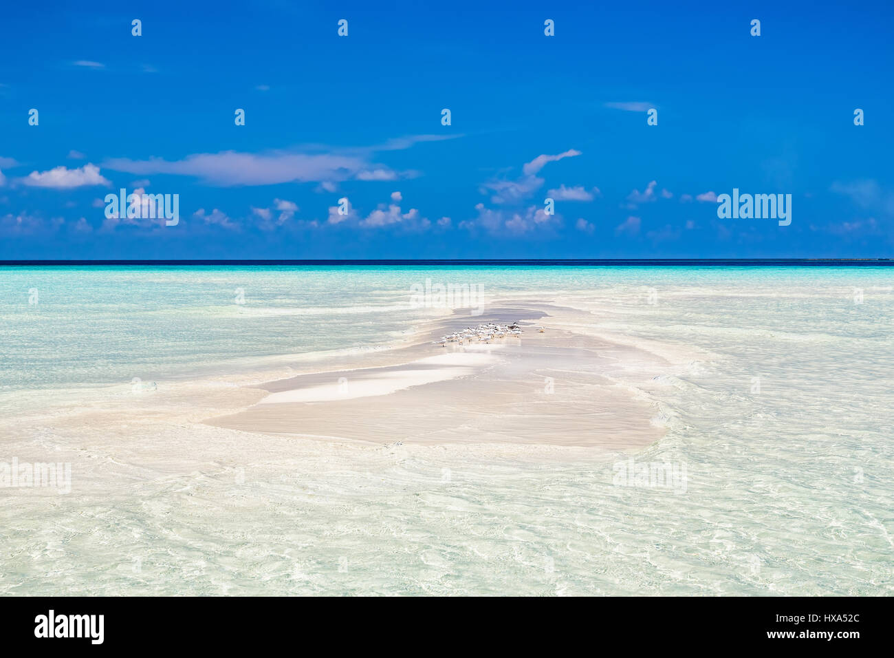 Piccola isola dell oceano su Maldive Foto Stock