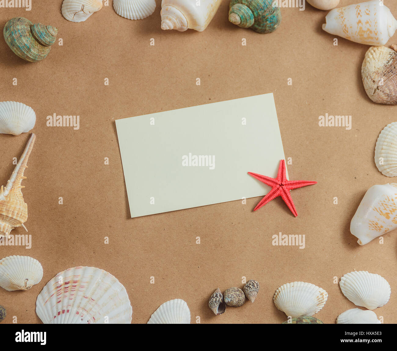 Cornice di conchiglie su sfondo chiaro con la scheda vuota e stelle marine. vista piana. Foto Stock