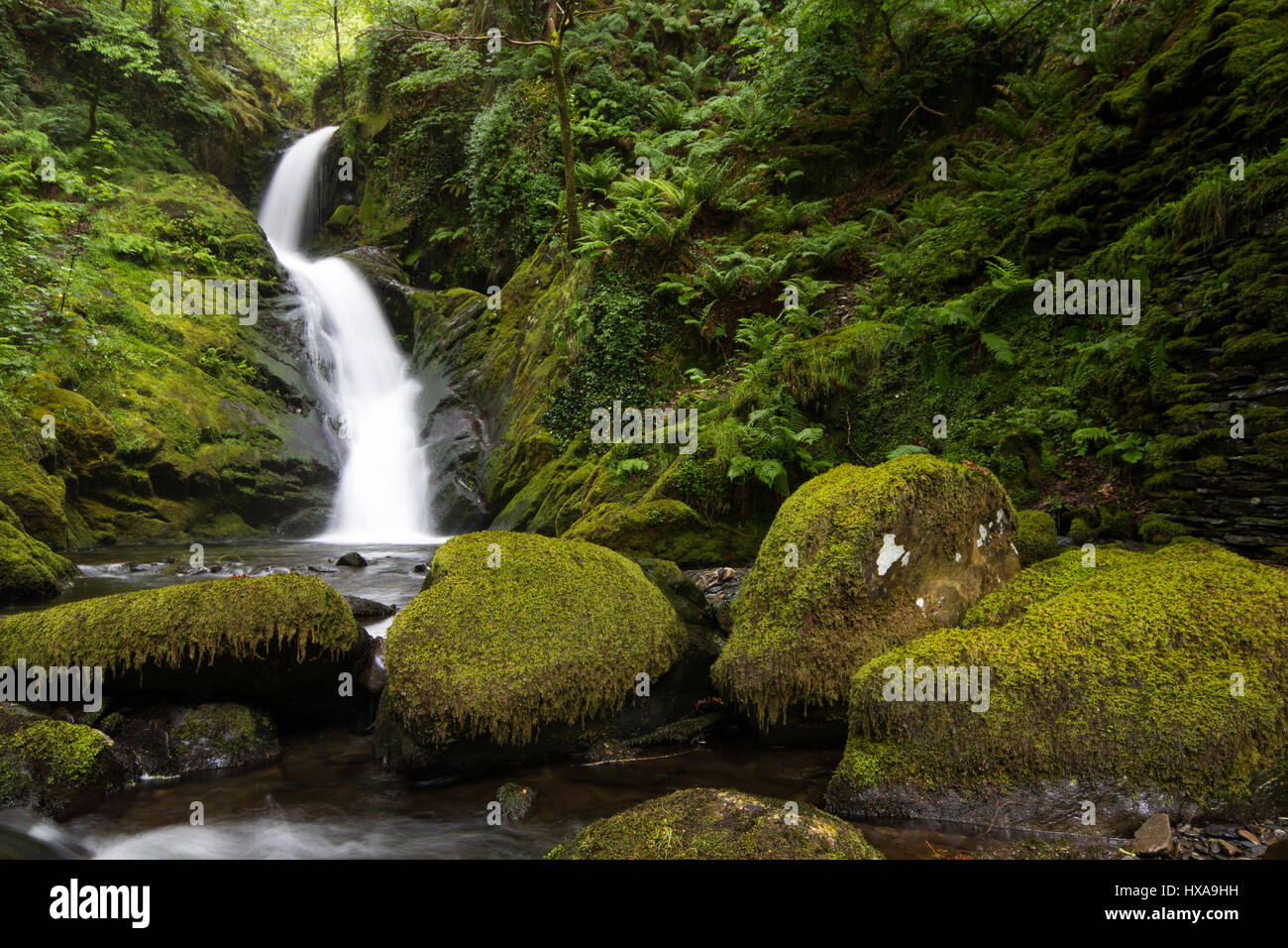 Le cascate Inferiori a Dolgoch, nel Fathew Valle del Galles centrale vicino a Tywyn Foto Stock