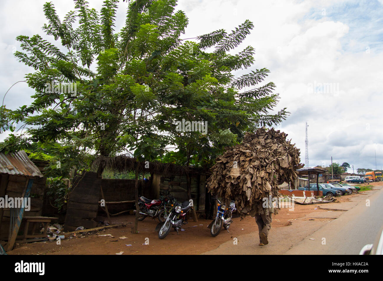 Unico Uomo che porta le foglie di tabacco in testa, in una strada presso la città di Lagos, la più grande città della Nigeria e t Foto Stock